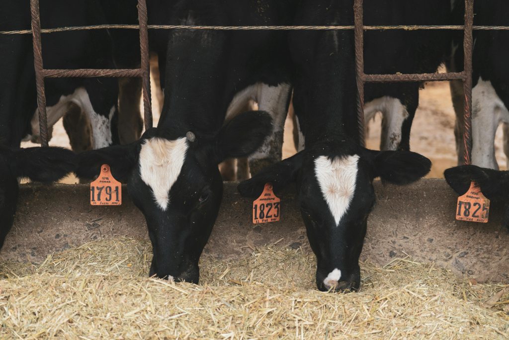The Science Behind Livestock Nutrition and Health